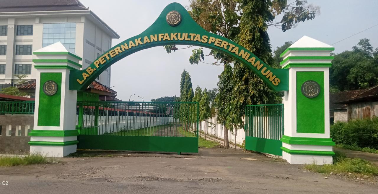 WhatsApp Image 2021-03-11 at 08.50.55