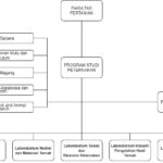 Pertanian peternakan