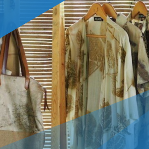 Field trip + presentasi workshop (2)